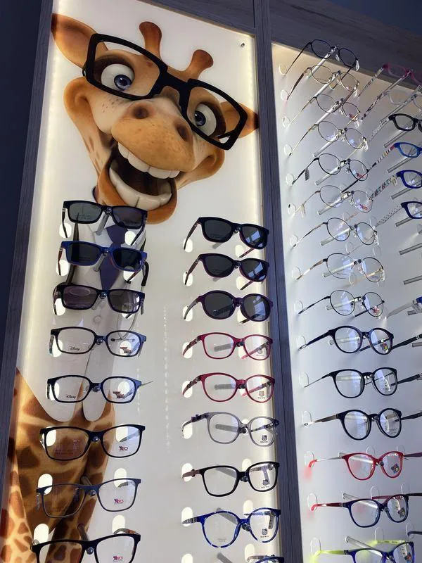 okulary na wystawie